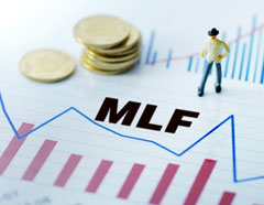 Medium Term Loans